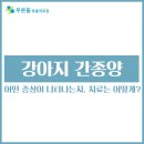 푸른들 동물병원 네이버블로그