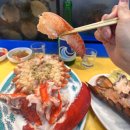 랍스터포차 | 부산 해운대 포차 오륙도19호 🦞 랍스터 코스 솔직후기