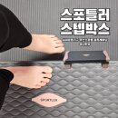 스포틀러 스텝박스 다이어트 홈트레이닝 계단오르기 실내운동기구 추천 후기