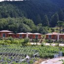 편백나무펜션 이미지