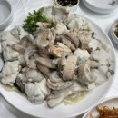 감포일출복어 이미지