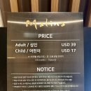 [인천국제공항] ‘마티나 라운지 제2여객터미널’의 뷔페 후기