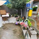 550024 | 광주 동명동 24시 꽃집 낮에는 유인 밤에는 무인 매장 "플라밍고"