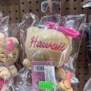 다올 | 홍대 다올상점 후기｜산리오 덕후 성지💖 태닝키티·갸루키티 실물 천국