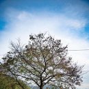 관동묘려 이미지