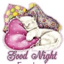 GOGO SWIMMING 이미지