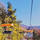 이강산숯불닭갈비 이미지