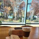 요가 A반 이미지