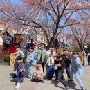 아이베스트 태권도 이미지