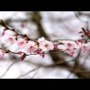 04/20 오늘의 묵상 (절망을 소망으로 바꾸는 기도의 힘) 이미지