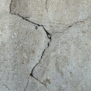 성림안전 이미지