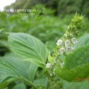 갈천농장 이미지