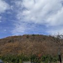 공원 | 영천 돌할매공원 후기｜소원 빌기 방법·돌 무게·주차·운영시간 총정리