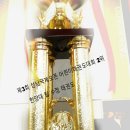 한양대 탑 태권도 이미지