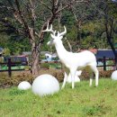 금평농장 이미지