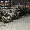 에스티179호텔 | December. 2025_The very end of 2025