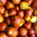 삼형제농장2 이미지