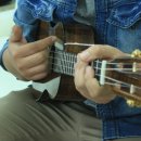 트리플넷