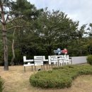 애플마트노들점