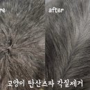 잔다냥 성남점 이미지