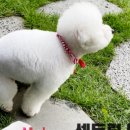 휴베이스 센트럴약국 이미지