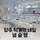 베스트샵 양주덕계점 | 양주 덕계역 네일 맛집, 넬슐랭 네일아트 추천