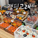 덕영대로 2077번길 | 수원 캠핑용품 대형매장 추천 :: 할로윈 소품 장비 가득한 캠핑고래 용인본점