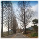 강천산 나비잠 이미지