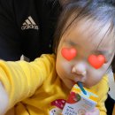 청신패밀리 이미지