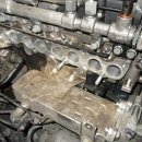 전.금강카크리닉 이미지