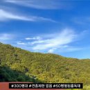 빌라누트 이미지