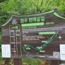 상관 공기마을 편백숲 이미지