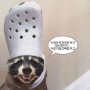 이난이 이미지