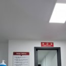 계림동물병원