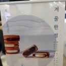 도산카월드
