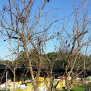 여주-0532 이미지