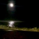 달빛바라기 이미지