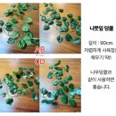 은신처 - 남구 달삼로23번길 3 | 크레스티드 게코 도마뱀 사육장 세트 초보자 은신처 구성 만족 후기