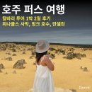 썬스팜 | 호주 퍼스 여행 칼바리 투어 1박 2일 후기 피나클스 사막, 핑크 호수, 란셀린