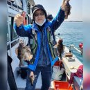 포항시남구장기면양포보건진료소 이미지