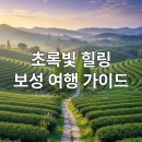 비봉다방 | 보성 가볼만한곳