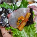 완도회수산 네이버블로그