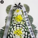 세브란스플라워