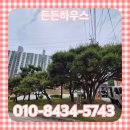 태림포장 | 소나무가지제거 벌목 조경 업체 비용