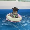 뭉치키즈풀빌라 이미지