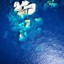 Sugar(슈가) 이미지