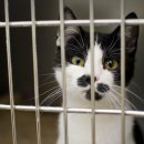 모두애동물병원 이미지