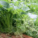 행복을 만드는 사람들 이미지