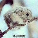 클래식짐 이미지