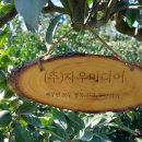 (주)자우미디어 Daum카페